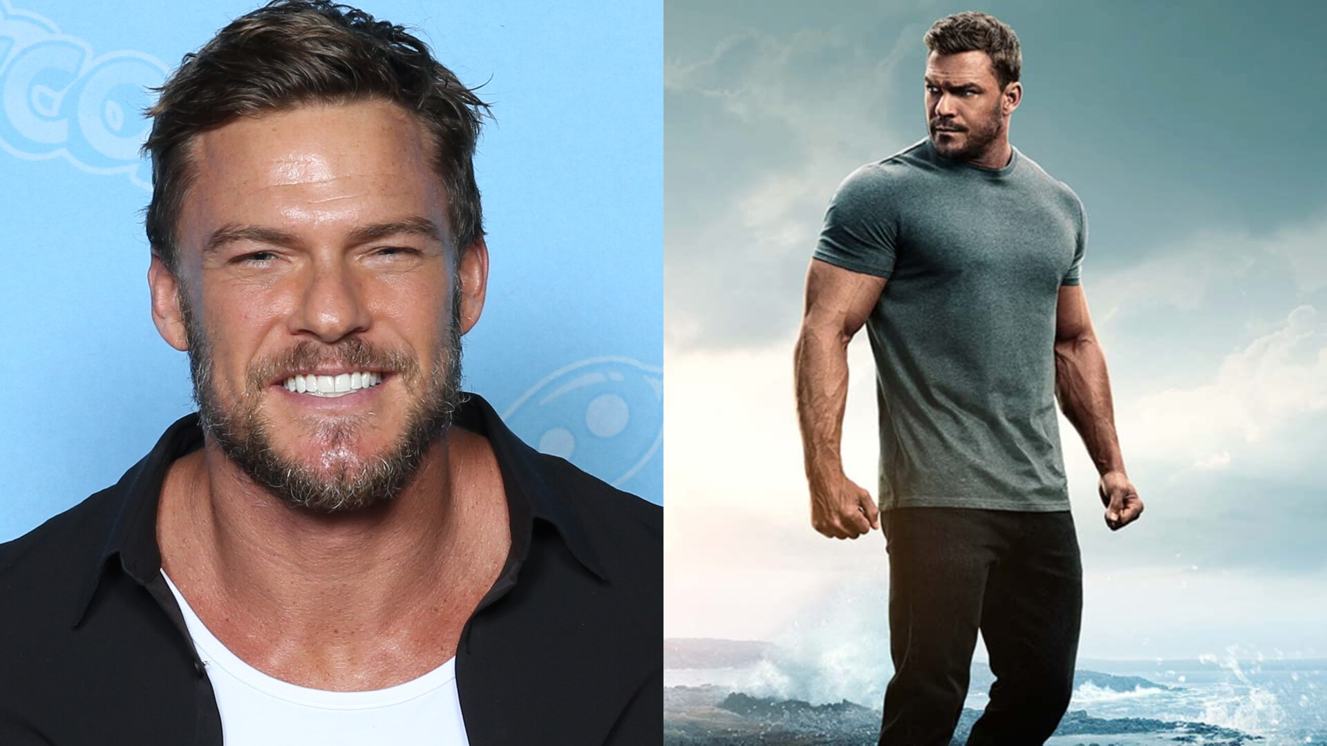 Besetzung von Reacher